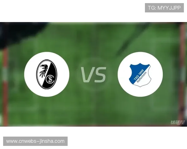 霍芬海姆3-0完胜弗赖堡，积分紧追德甲前四欧战席位